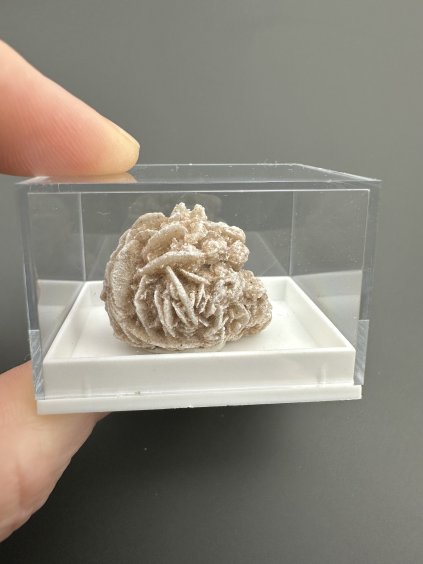 Sádrovec – Brazílie