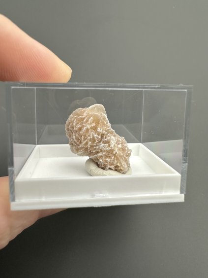 Sádrovec – Brazílie