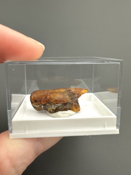 Amber – Gdańsk, Poland
