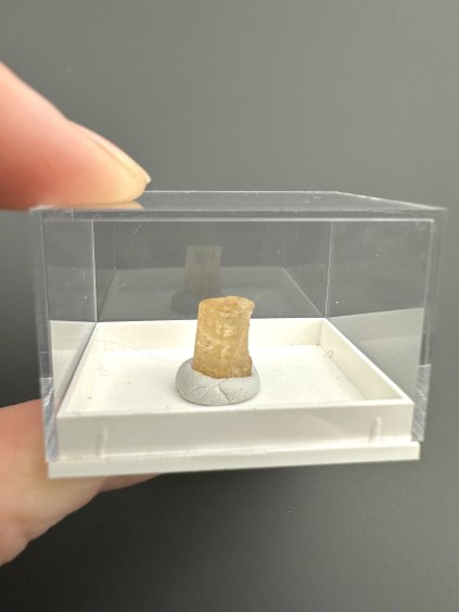 Imperial Topaz – Brazil