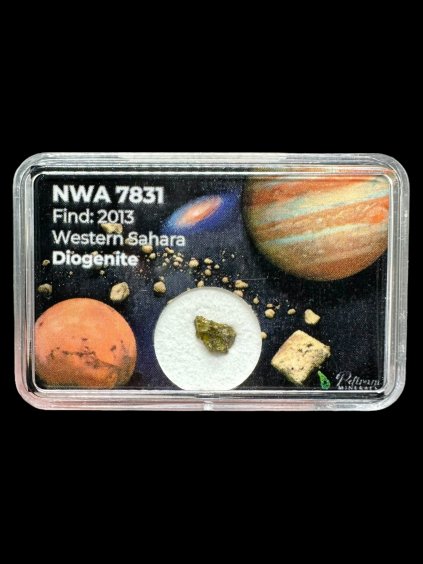 Meteorite NWA 7831 – Western Sahara