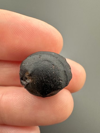 Australite "button" 2g – Kalgoorlie, Western Australia