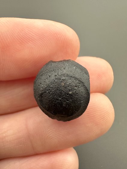Australite "button" – Kalgoorlie, Western Australia