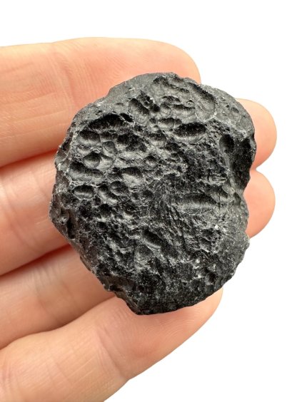 Vietnamite – 17g – Huyen Song Hinh – Phu Yen, Vietnam