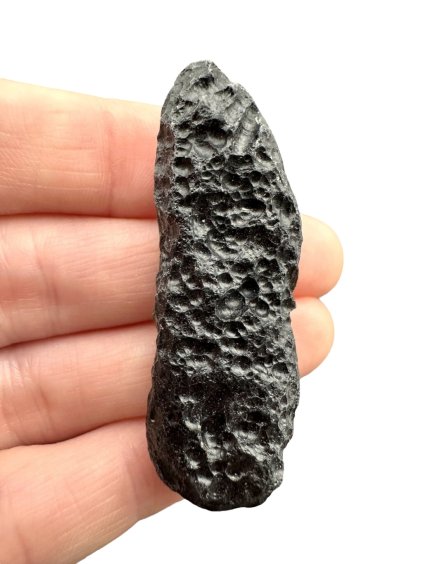 Vietnamit 13g – Huyen Song Hinh – Phú Yen, Vietnam