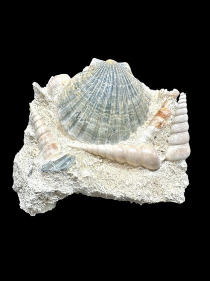 Photoroom 007 20251205 154506