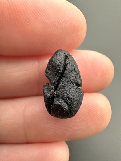 Australit "knoflík" 1,3g – Kalgoorlie, Západní Austrálie