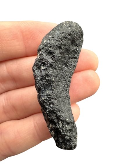 Vietnamit – 12g – Huyen Song Hinh – Phu Yen, Vietnam