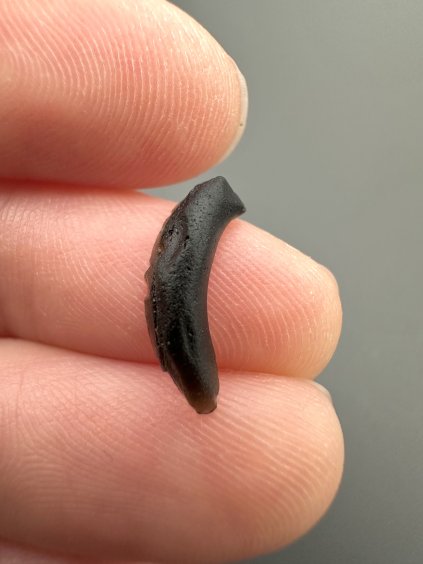 Australit "knoflík" 0,2g – Kalgoorlie, Západní Austrálie