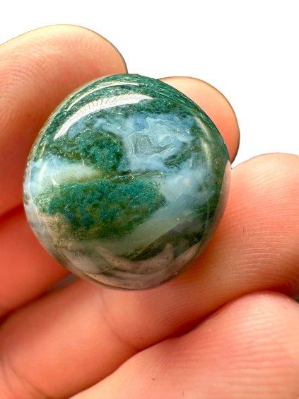 Photoroom 026 20250307 220415