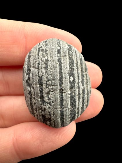 Photoroom 006 20250405 112655