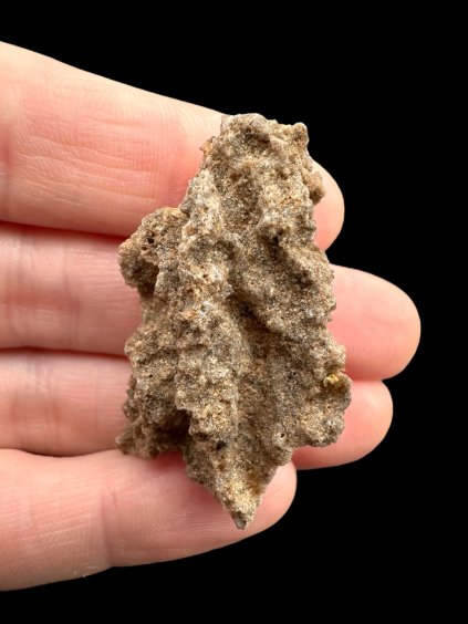 Photoroom 020 20250319 120021