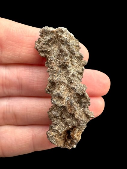 Photoroom 000 20250319 122902