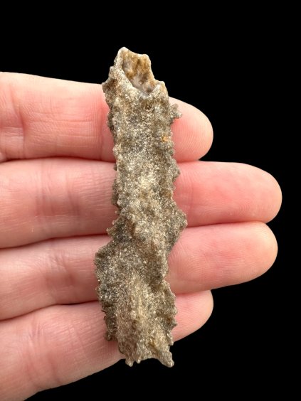 Photoroom 009 20250319 154827