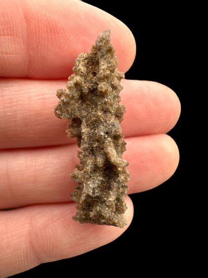 Photoroom 013 20250319 154827