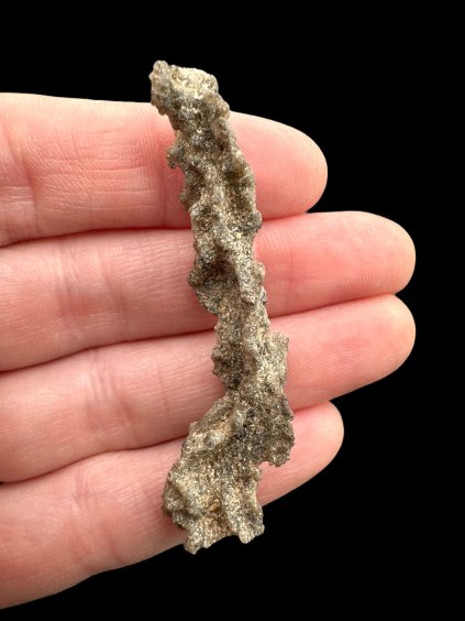 Photoroom 021 20250319 154827