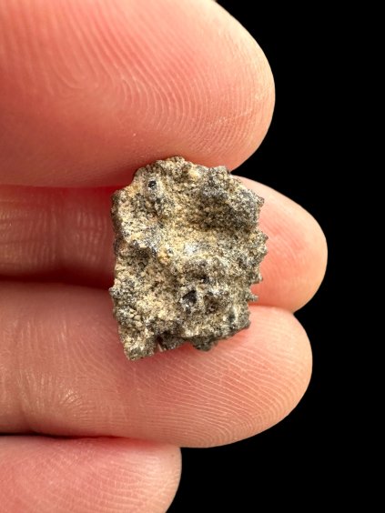 Photoroom 000 20250320 160820