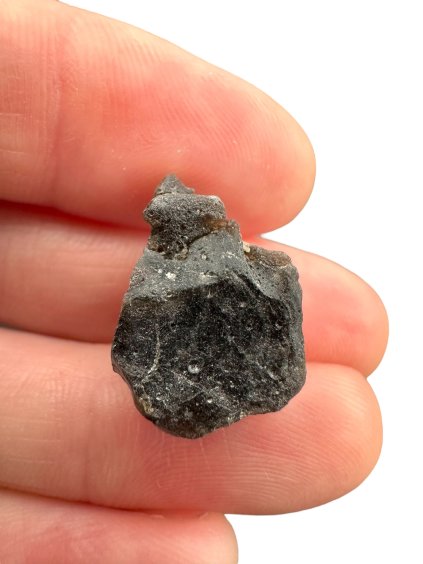 Photoroom 000 20250320 105145