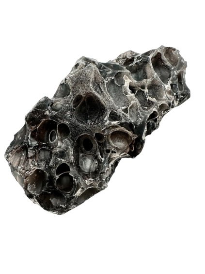 Photoroom 000 20250320 155536