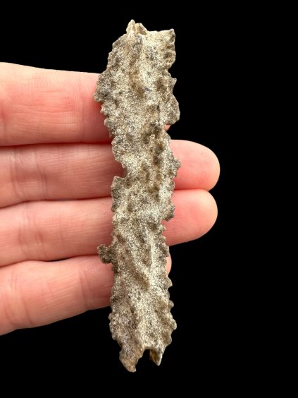 Photoroom 006 20250321 104345