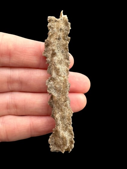 Photoroom 013 20250321 104345