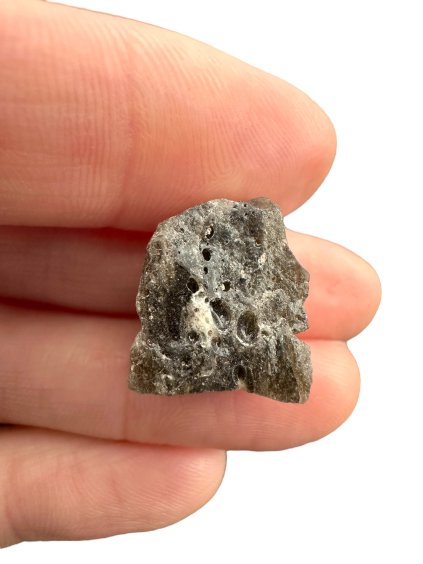 Photoroom 024 20250321 115337