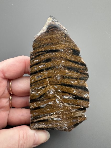 Tiger jasper – West Java, Indonesia