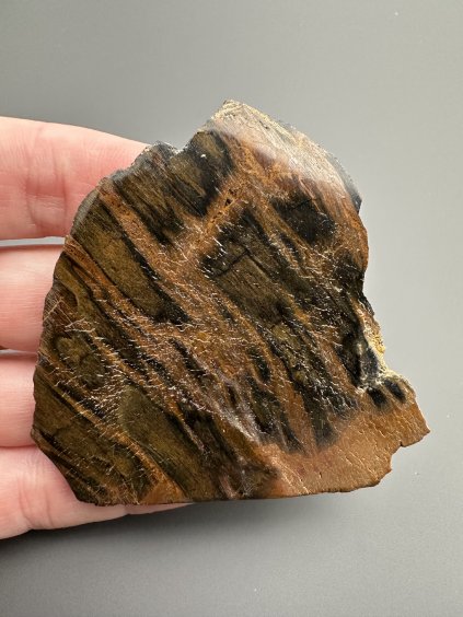 Tiger-Jaspis – Westjava, Indonesien