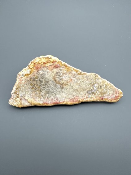 Fossil coral – Sumatra, Indonesia