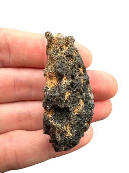 Photoroom 000 20250409 181427