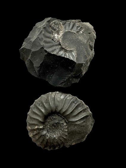 Photoroom 000 20251002 165816