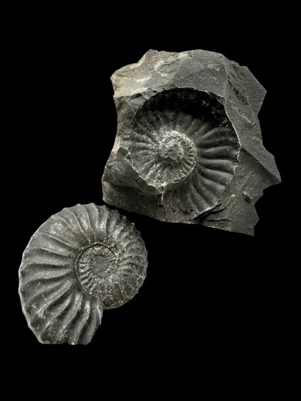 Photoroom 007 20251002 165816