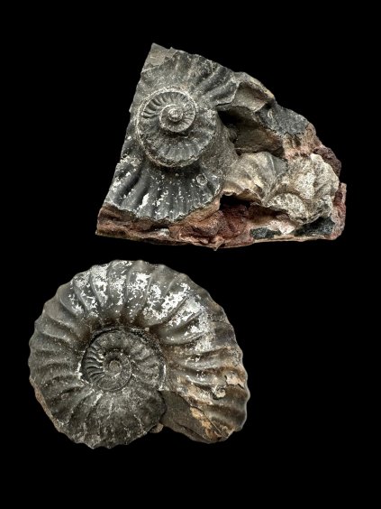 Photoroom 010 20251002 165816