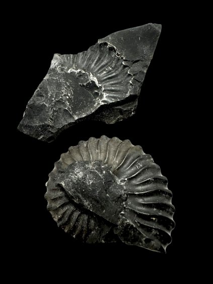 Photoroom 001 20251002 175333