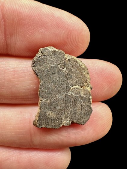 Photoroom 001 20251111 165230