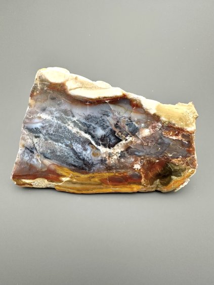 Petrified opalized wood with natural copper  – West Java, Indonesia