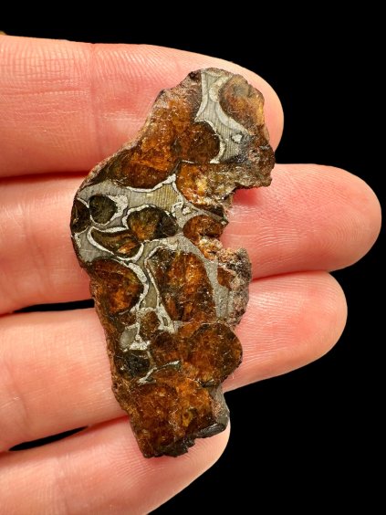 Meteorit Pallasit Sericho – Keňa