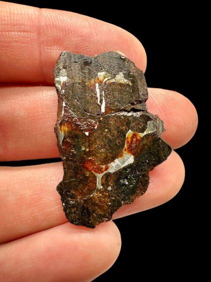 Sericho Pallasite Meteorite – Kenya
