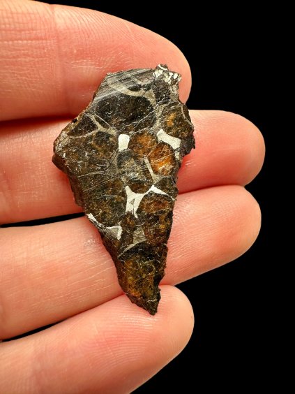 Sericho Pallasite Meteorite – Kenya
