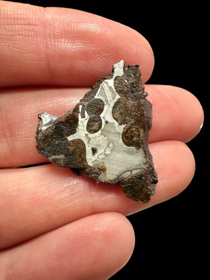 Meteorit Pallasit Sericho – Keňa