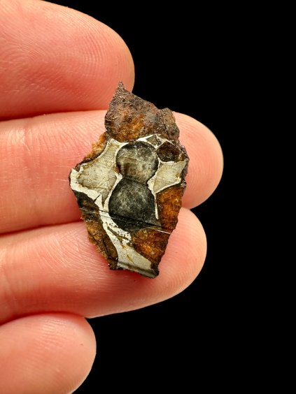 Meteorit Pallasit Sericho – Kenia