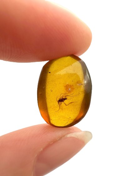 Photoroom 021 20250507 171810