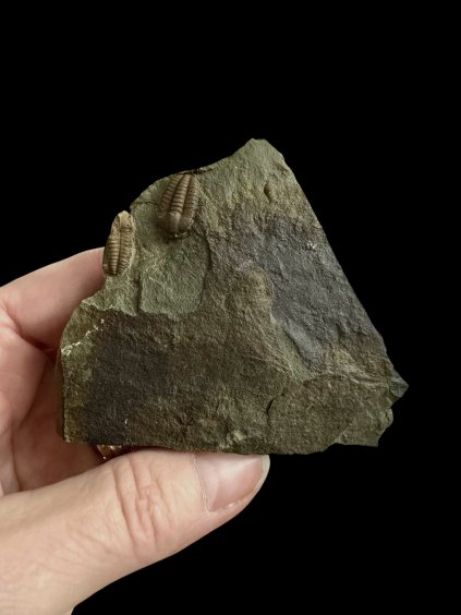 Photoroom 000 20251106 200703