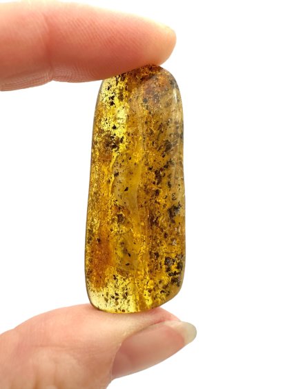 Photoroom 001 20250512 180311