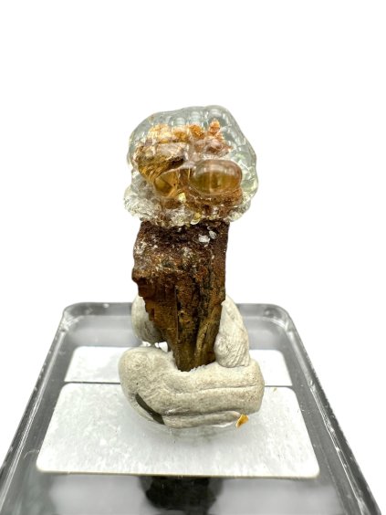 Photoroom 012 20250519 160546