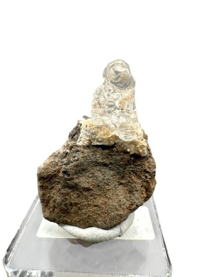 Photoroom 012 20250514 212716