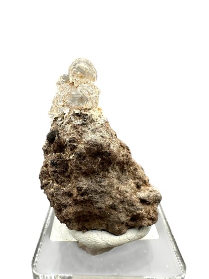 Photoroom 032 20250514 212716