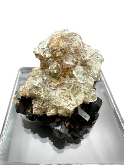 Photoroom 000 20250519 152136