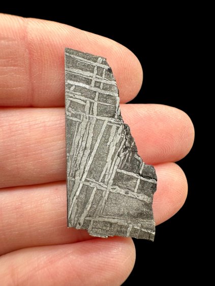 Photoroom 022 20251125 133526