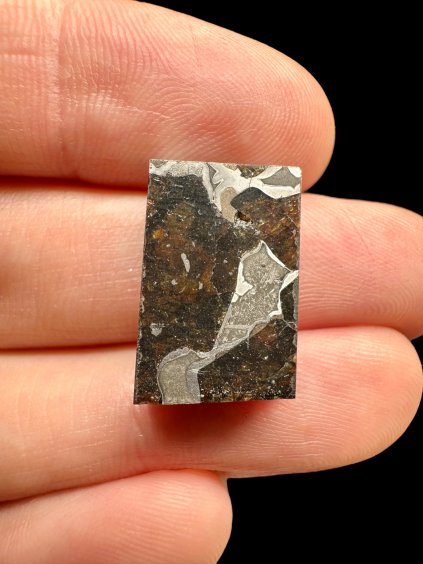 Meteorit Pallasit Pallasovka – Russland